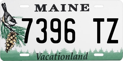 ME license plate 7396TZ