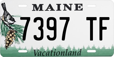ME license plate 7397TF