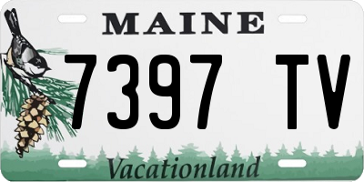 ME license plate 7397TV