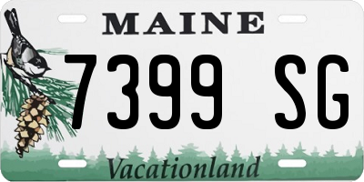 ME license plate 7399SG