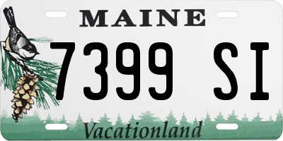 ME license plate 7399SI