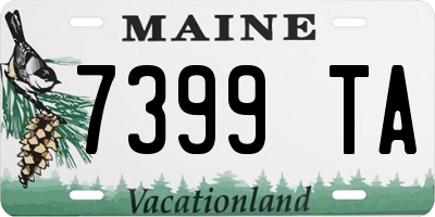 ME license plate 7399TA