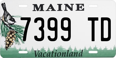 ME license plate 7399TD