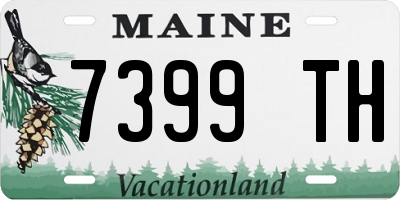 ME license plate 7399TH