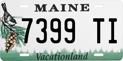 ME license plate 7399TI