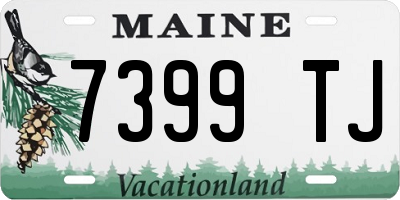 ME license plate 7399TJ