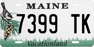 ME license plate 7399TK