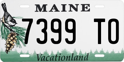 ME license plate 7399TO