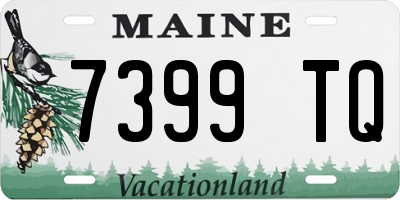 ME license plate 7399TQ