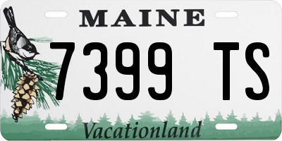 ME license plate 7399TS