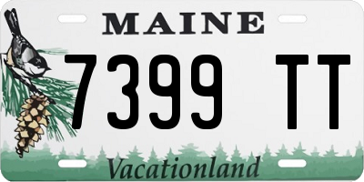 ME license plate 7399TT