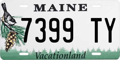 ME license plate 7399TY
