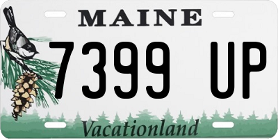 ME license plate 7399UP