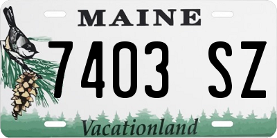 ME license plate 7403SZ