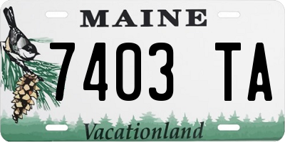 ME license plate 7403TA