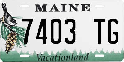 ME license plate 7403TG