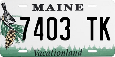 ME license plate 7403TK