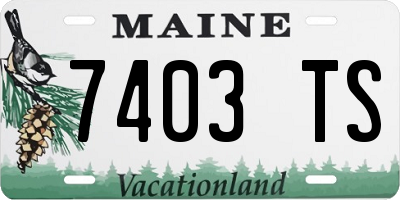 ME license plate 7403TS