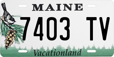 ME license plate 7403TV