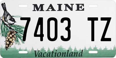 ME license plate 7403TZ