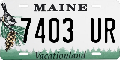 ME license plate 7403UR