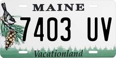 ME license plate 7403UV