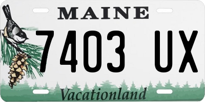 ME license plate 7403UX