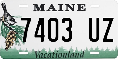 ME license plate 7403UZ