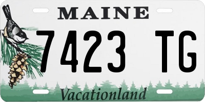 ME license plate 7423TG