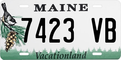 ME license plate 7423VB