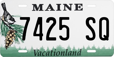 ME license plate 7425SQ