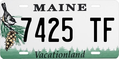 ME license plate 7425TF
