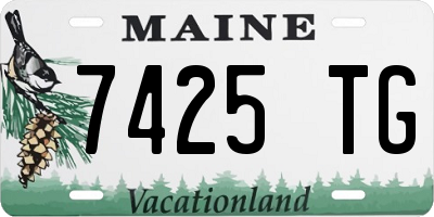 ME license plate 7425TG
