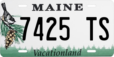 ME license plate 7425TS