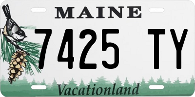 ME license plate 7425TY