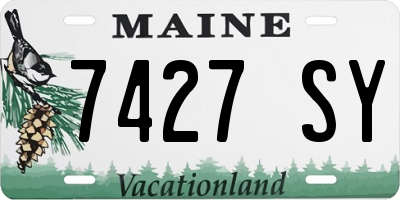 ME license plate 7427SY