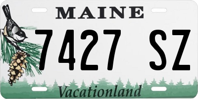 ME license plate 7427SZ