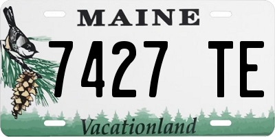 ME license plate 7427TE