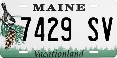 ME license plate 7429SV