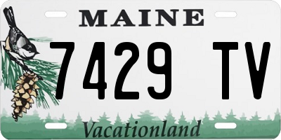 ME license plate 7429TV