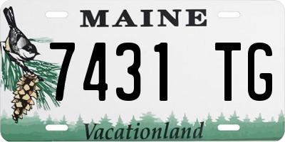 ME license plate 7431TG