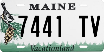 ME license plate 7441TV