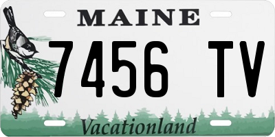 ME license plate 7456TV