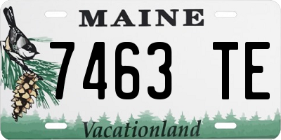 ME license plate 7463TE