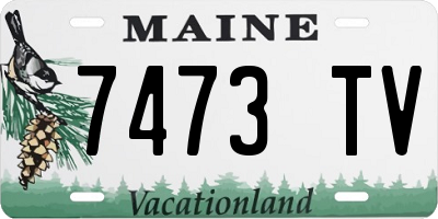 ME license plate 7473TV