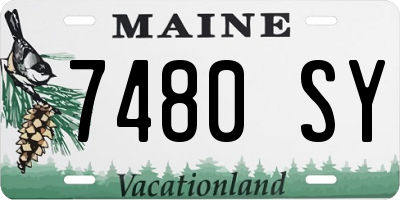 ME license plate 7480SY