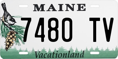 ME license plate 7480TV
