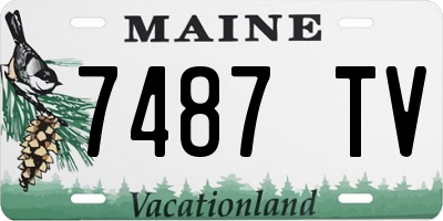 ME license plate 7487TV