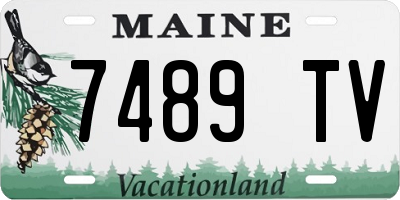 ME license plate 7489TV