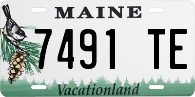 ME license plate 7491TE